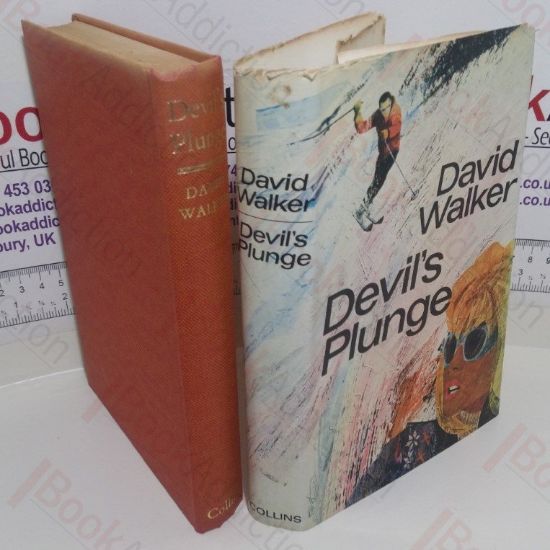 Picture of Devil's Plunge