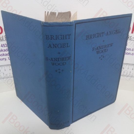 Picture of Bright Angel