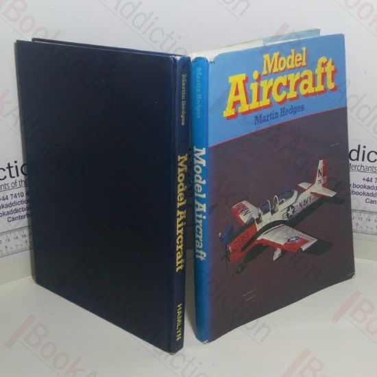 Picture of Model Aircraft