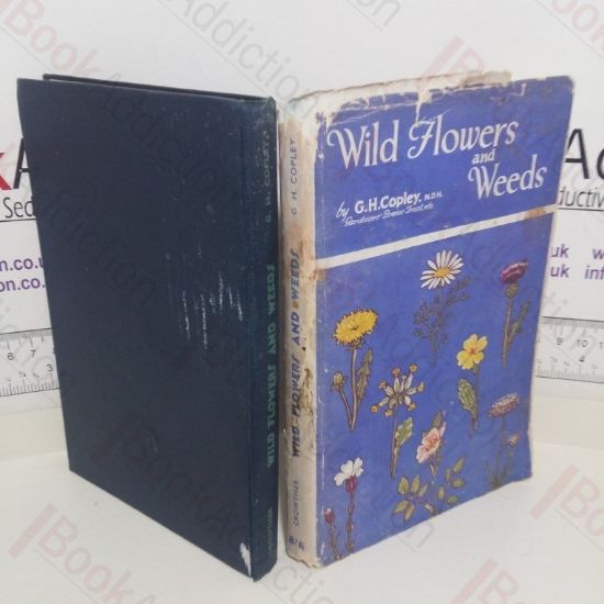 Picture of Wild Flowers and Weeds