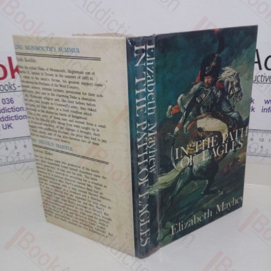 Picture of In the Path of Eagles