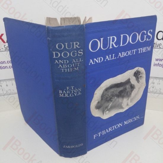 Picture of Our Dogs and All About Them