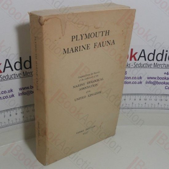 Picture of Plymouth Marine Fauna