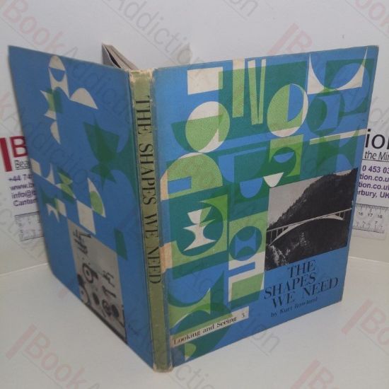 Picture of The Shapes We Need (Looking and Seeing 3)