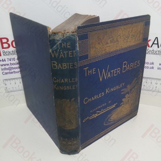 Picture of The Water-Babies: A Fairy Tale for a Land-Baby