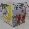 Picture of David's Victory (Starling series)