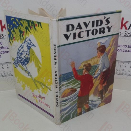 Picture of David's Victory (Starling series)