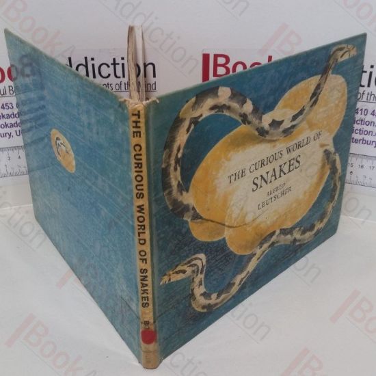 Picture of The Curious World of Snakes