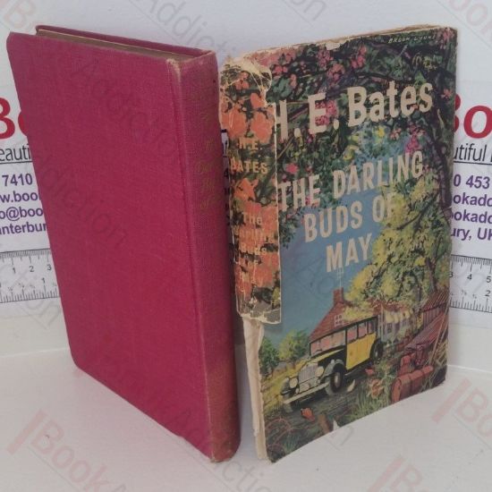 Picture of The Darling Buds of May