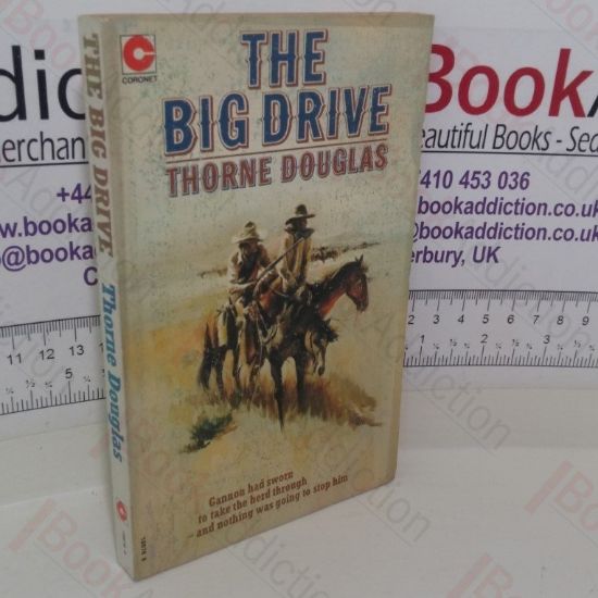 Picture of The Big Drive