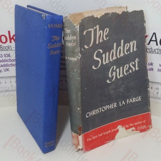 Picture of The Sudden Guest