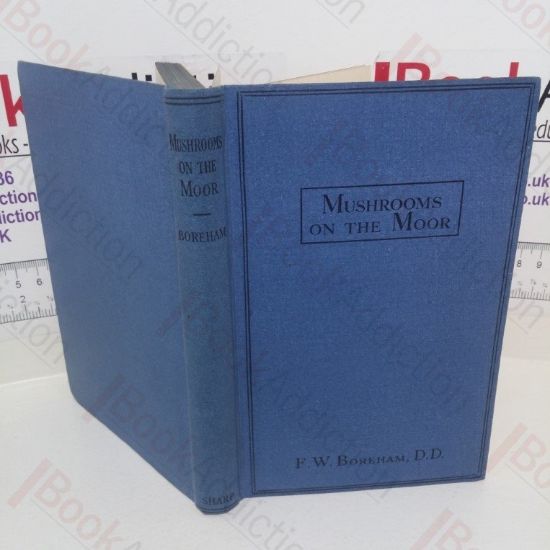 Picture of Mushrooms on the Moor