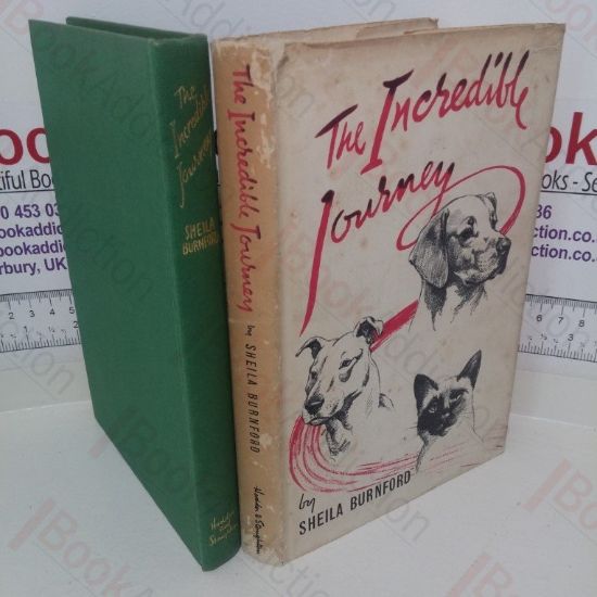 Picture of The Incredible Journey