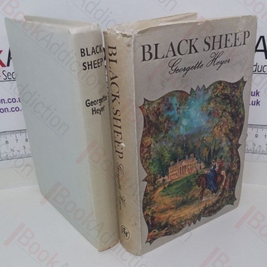 Picture of Black Sheep