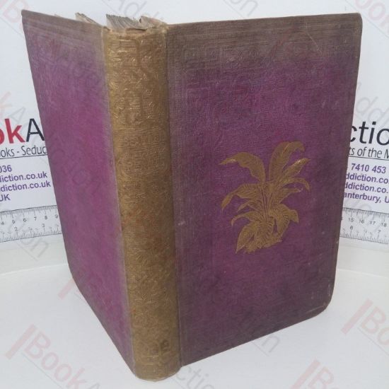 Picture of Beautiful Leaved Plants, Being a Description of the Most Beautiful Leaved Plants in Cultivation in This Country