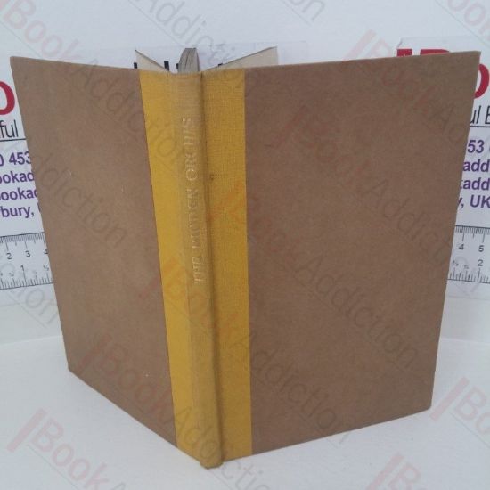 Picture of The Hidden Orchis