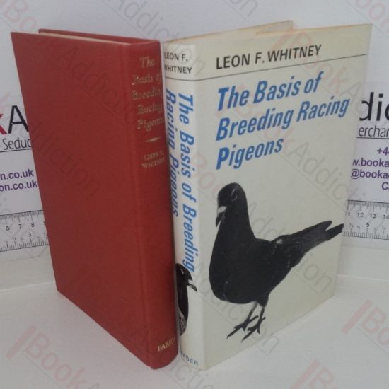 Picture of The Basis of Breeding Racing Pigeons