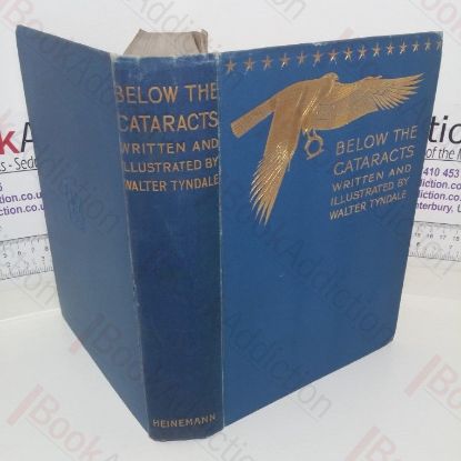 Picture of Below the Cataracts