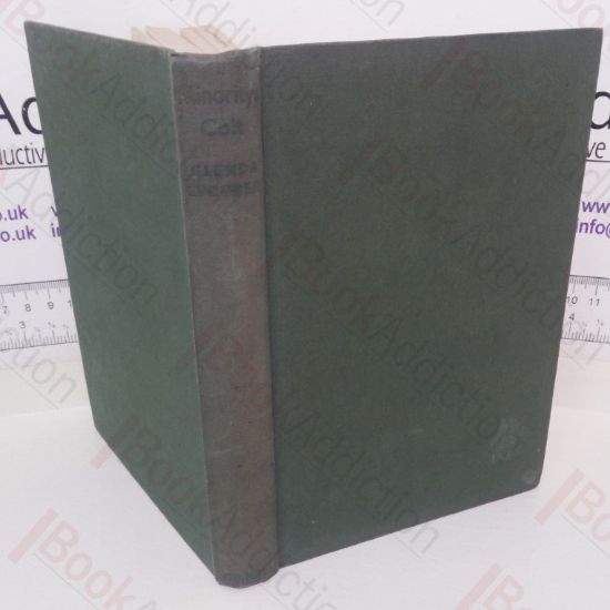 Picture of Minority's Colt