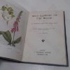 Picture of Wild Flowers of the Hedgerow: Series 1 - Wild Flowers of the Hedgerow, Series 2 - Wild Flowers of the Wood (Wild Flowers in their Homes series)