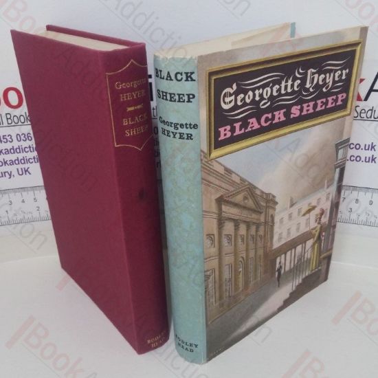 Picture of Black Sheep