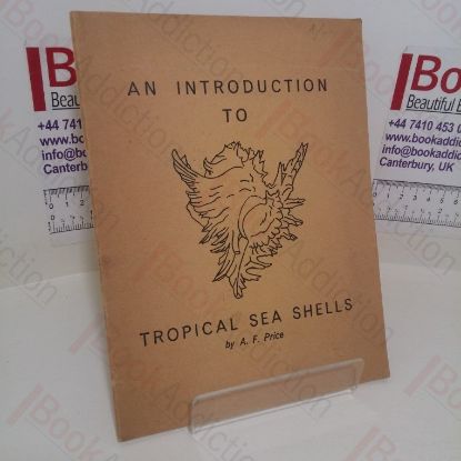 Picture of An Introduction to Tropical Sea Shells