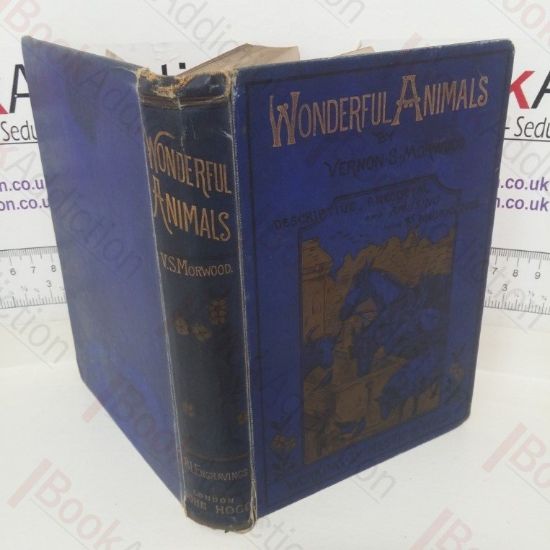 Picture of Wonderful Animals: Working, Domestic and Wild: Their Structure, Habits, Homes and Uses