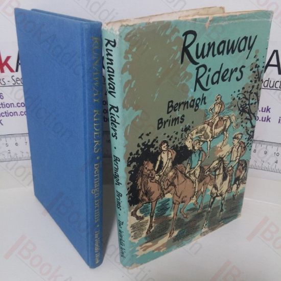 Picture of Runaway Riders