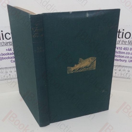 Picture of A Trout Rose