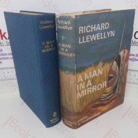 Picture of A Man in a Mirror