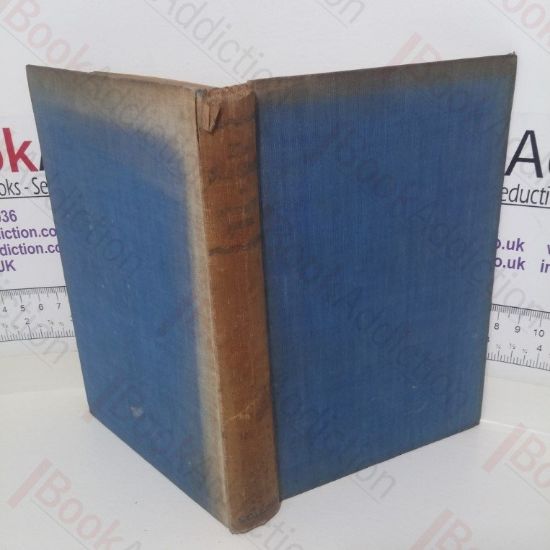 Picture of Sea Chase