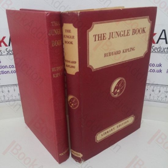 Picture of The Jungle Book