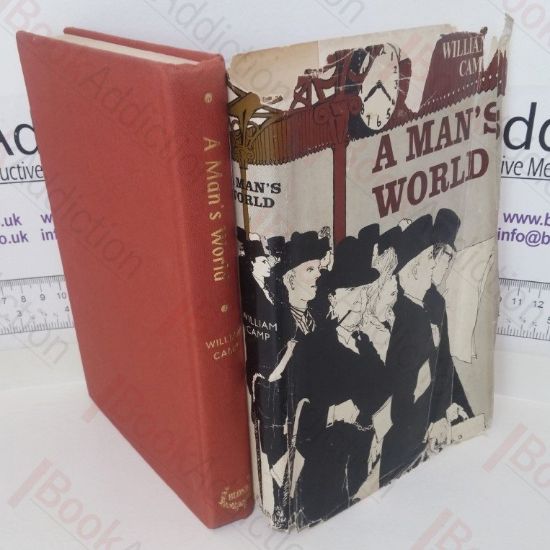 Picture of A Man's World: A Novel