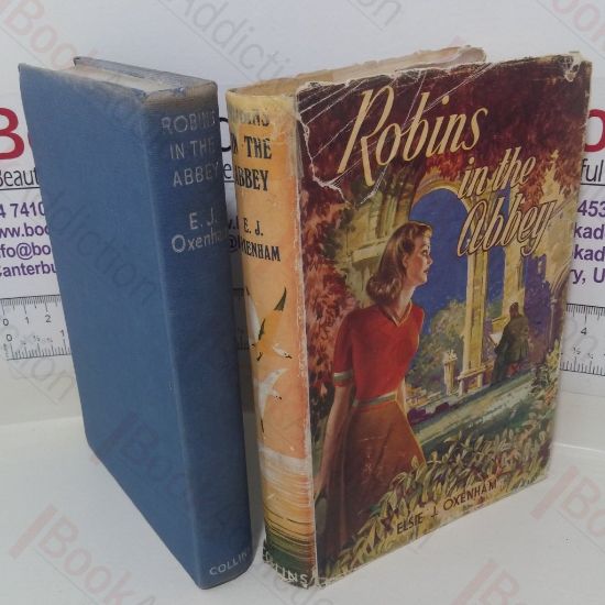 Picture of Robins in the Abbey (The Abbey School series)