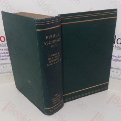 Picture of Hemichordata, Ascidians and Amphoxus, Fishes etc (The Cambridge Natural History series, Volume VII)