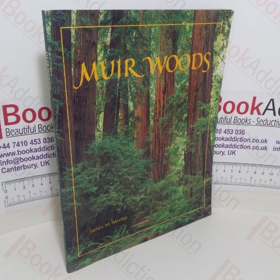 Picture of Muir Woods: The Ancient Redwood Forest Near San Francisco