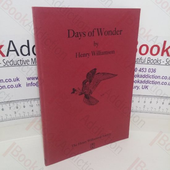 Picture of Days of Wonder