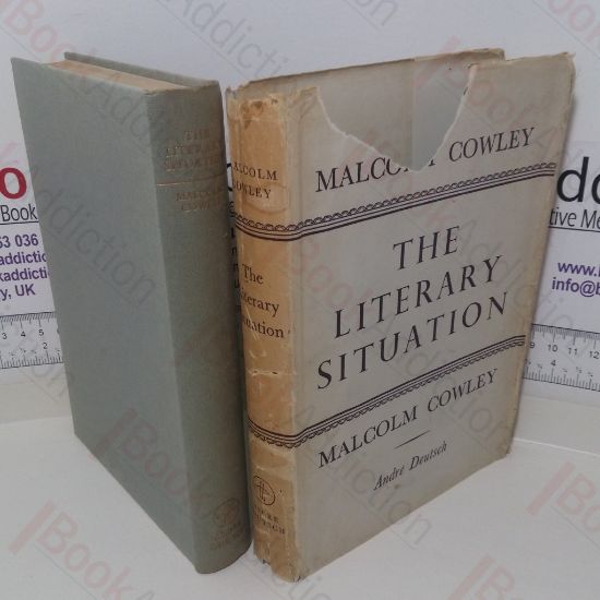 Picture of The Literary Situation