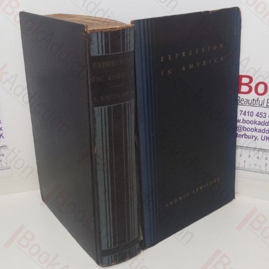 Picture of Expression in America