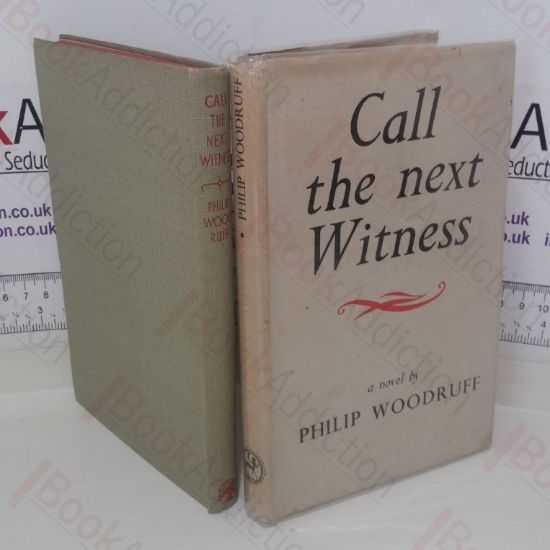 Picture of Call the Next Witness: A Novel