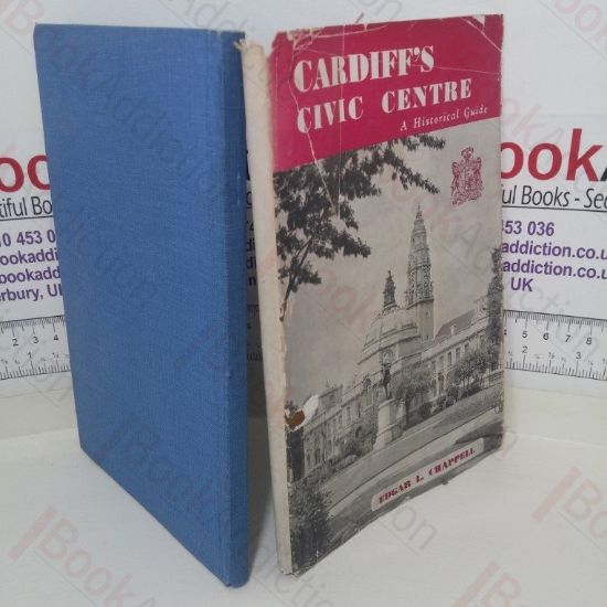 Picture of Cardiff's Civic Centre (Signed and Inscribed)