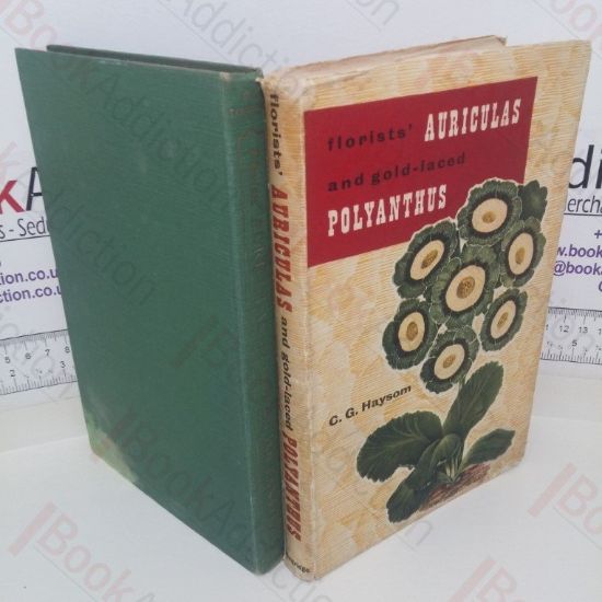 Picture of Florists' Auriculas and Gold-Laced Polyanthus