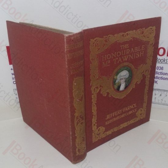 Picture of The Honourable Mr Tawnish