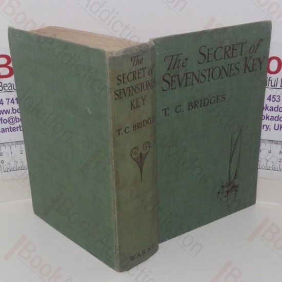 Picture of The Secret of Sevenstones Key