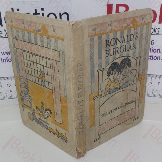 Picture of Ronald's Burglar