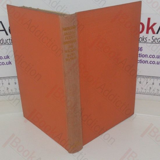 Picture of The Wicker Work Woman: A Chronicle of Our Own Times (Library edition)