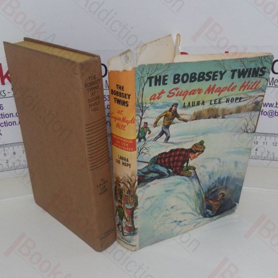 Picture of The Bobbsey Twins at Sugar Maple Hill