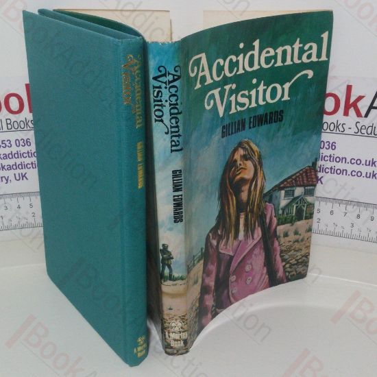 Picture of Accidental Visitor