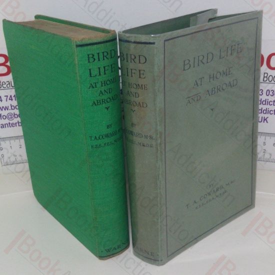 Picture of Bird Life at Home and Abroad with Other Nature Observations