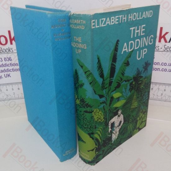 Picture of The Adding Up